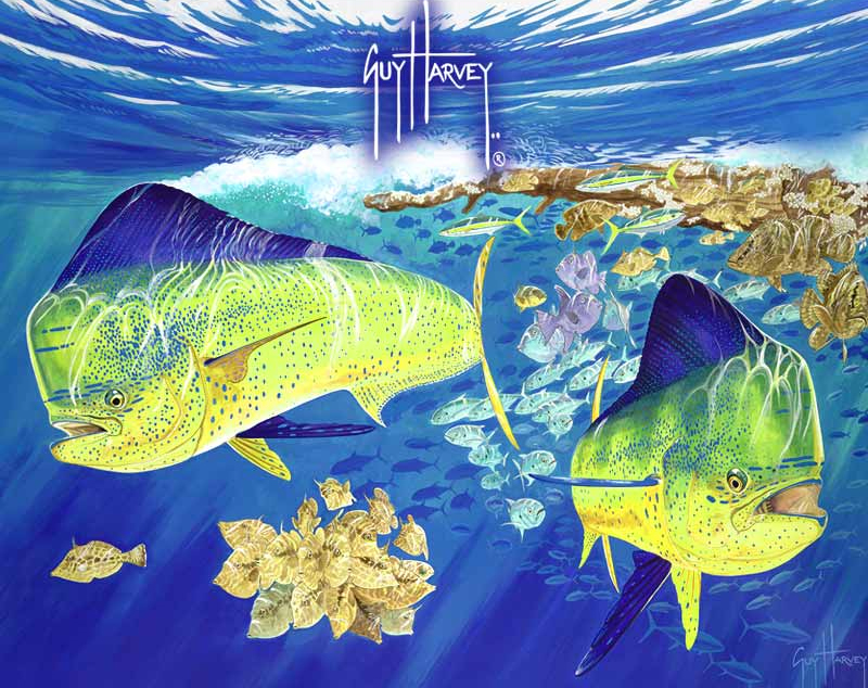 Guy Harvey Fishing Rod Storage