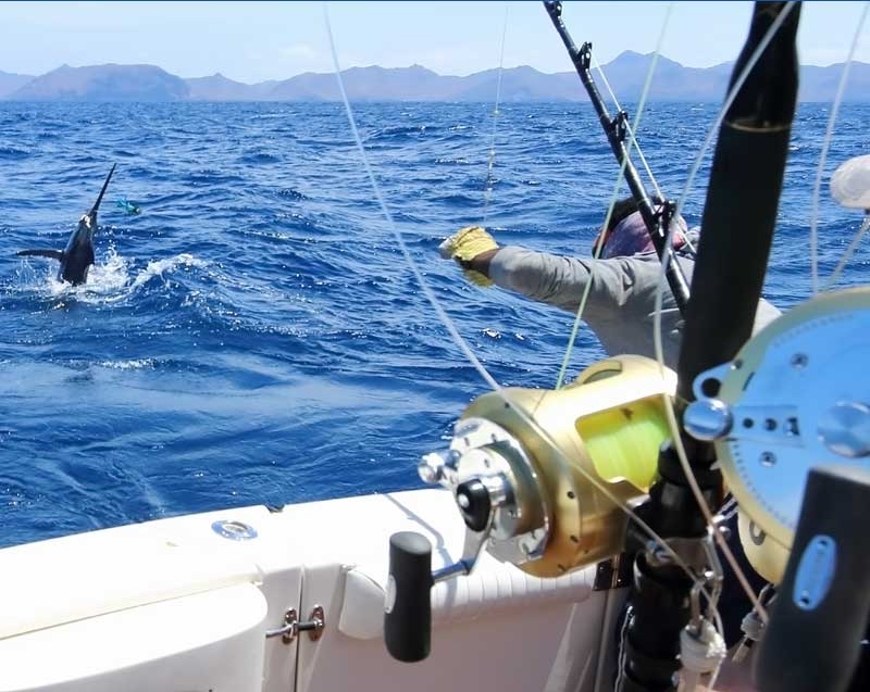 Reel Salty Saltwater Rod Storage